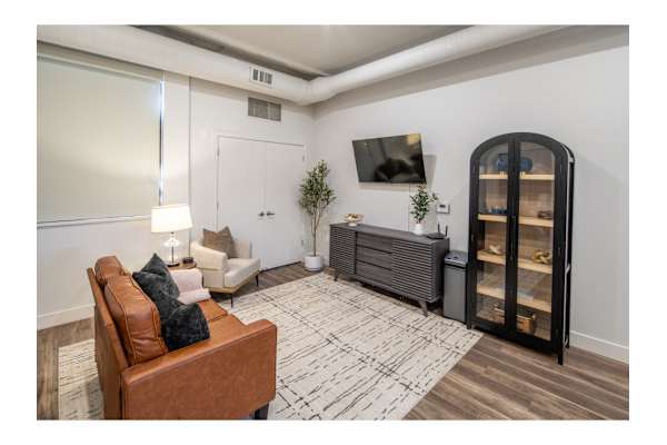 A living room with a brown leather couch and a patterned rug.